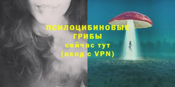 мяу мяу мука Арсеньев