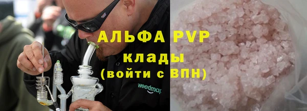 сатива Армянск