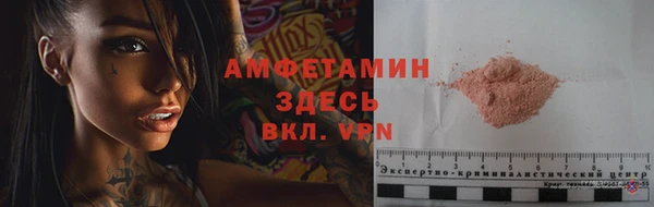 сатива Армянск
