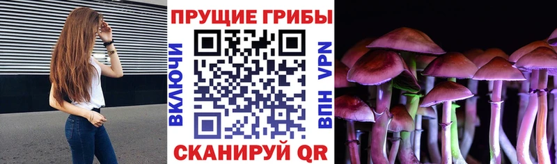 Галлюциногенные грибы MAGIC MUSHROOMS  наркота  Бирюсинск 